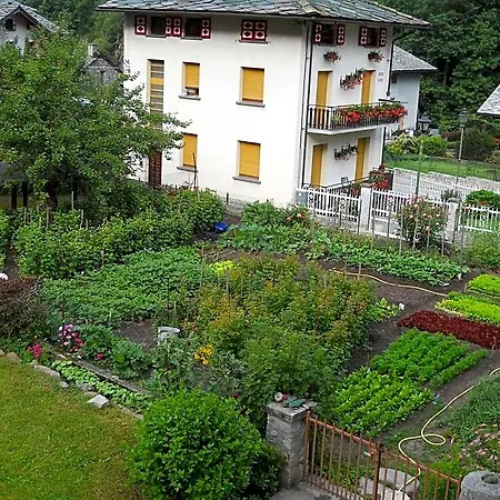 Mologna Hotel 2*