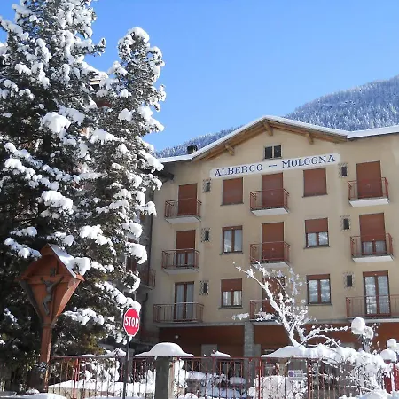 Mologna Hotel