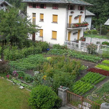 Mologna Hotel