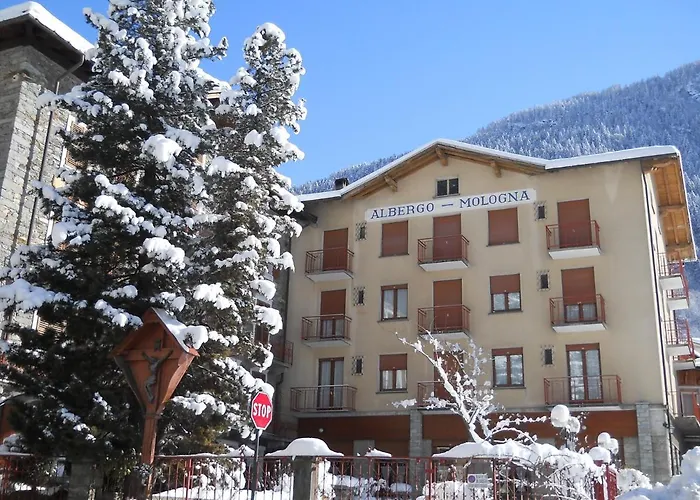Mologna فندق
